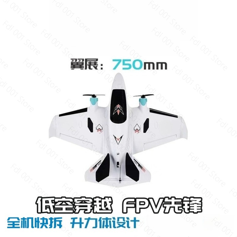 Dual Motor FPV Fixed Wing RC A - đánh giá và giá Fpv Drone